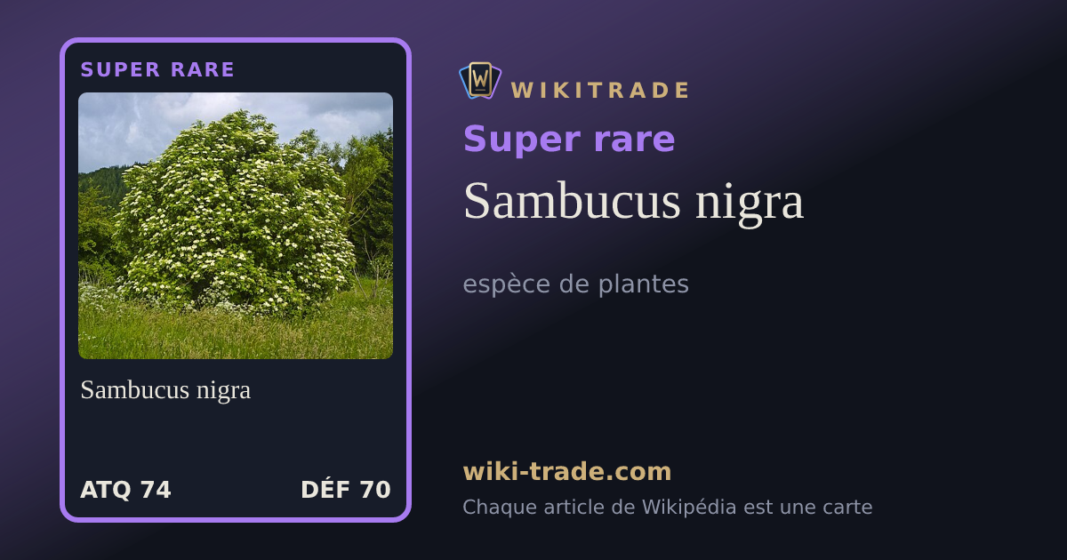 Sambucus nigra — carte Super rare