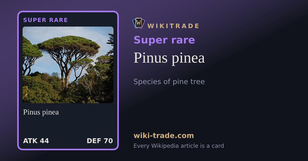 Pinus pinea — Super rare card