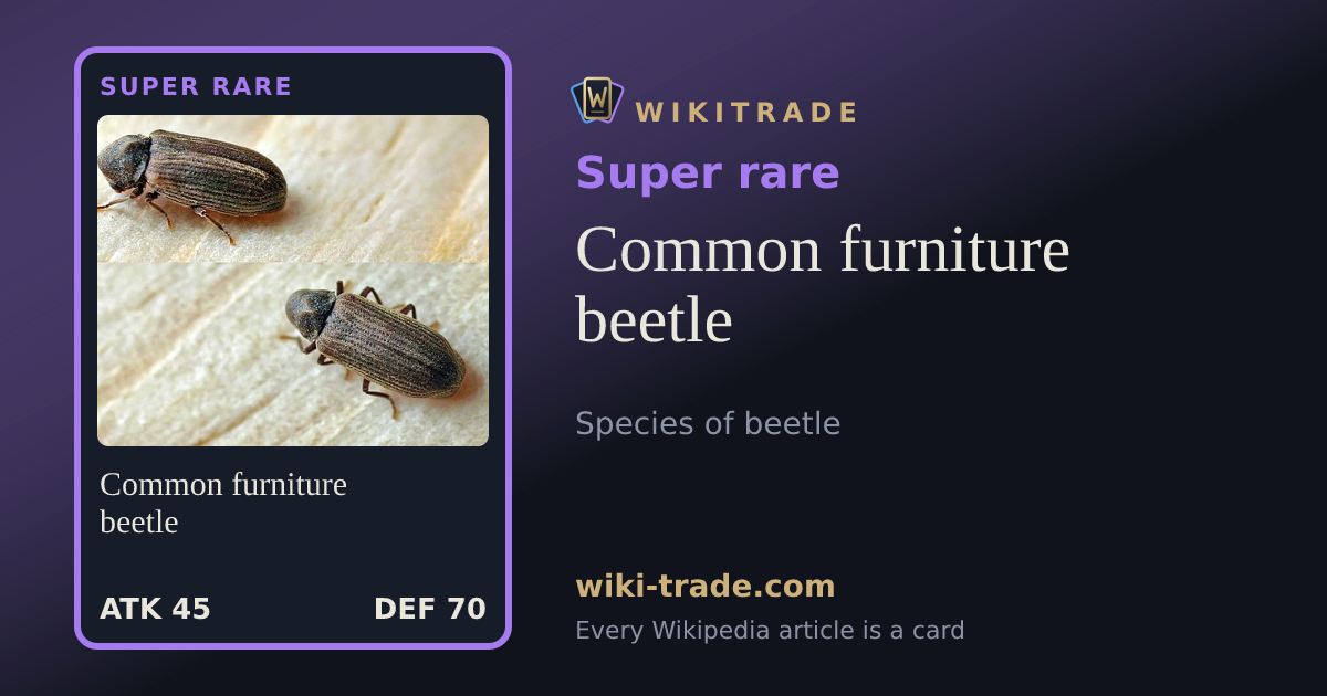 Common furniture beetle — Super rare card