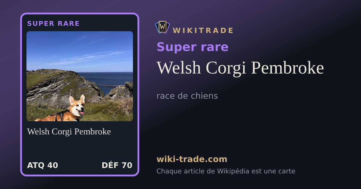Welsh Corgi Pembroke — carte Super rare