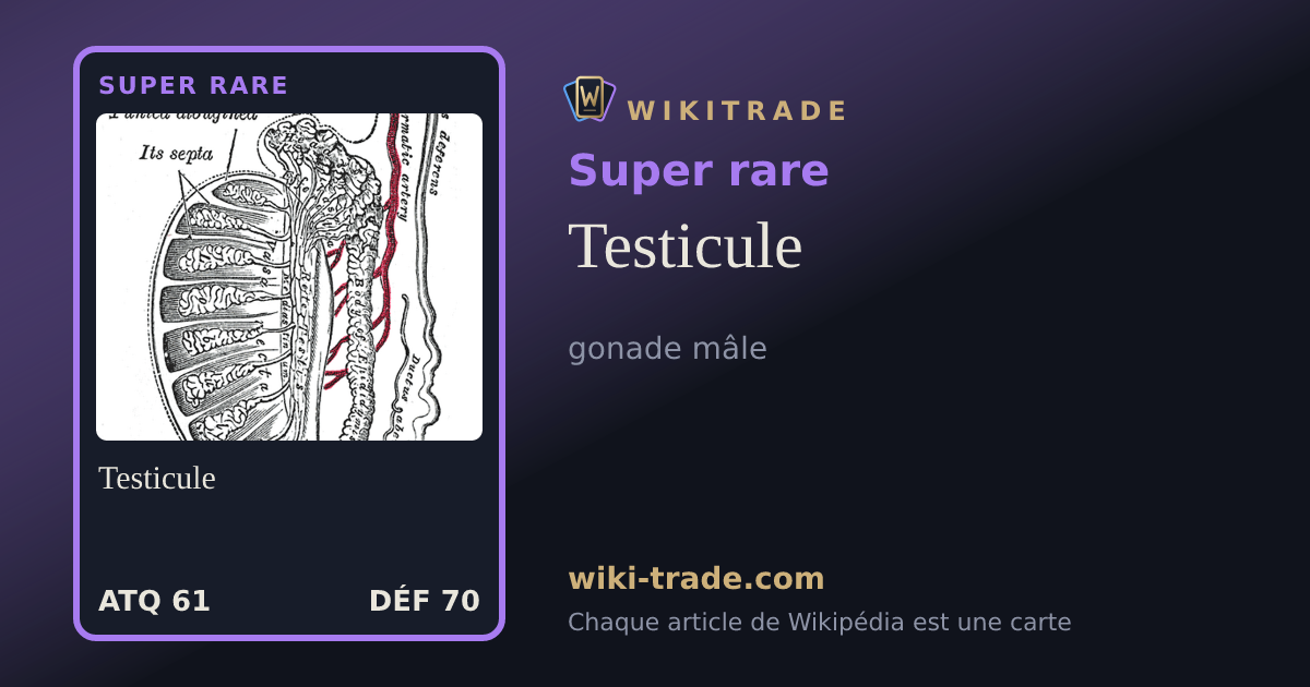 Testicule — carte Super rare