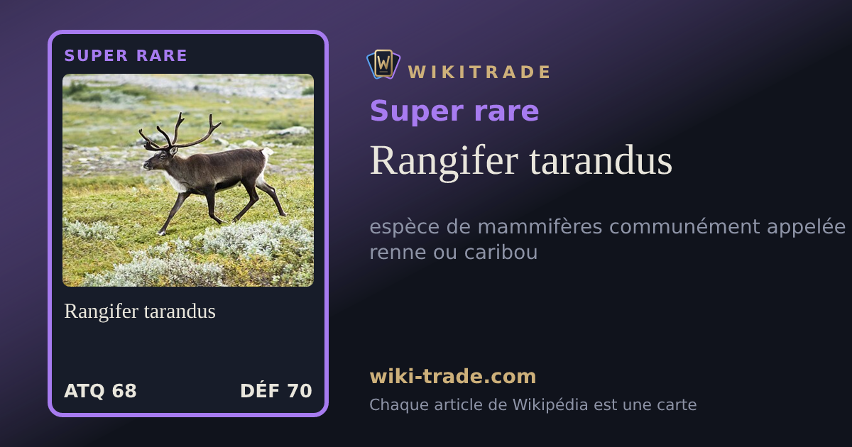 Rangifer tarandus — carte Super rare