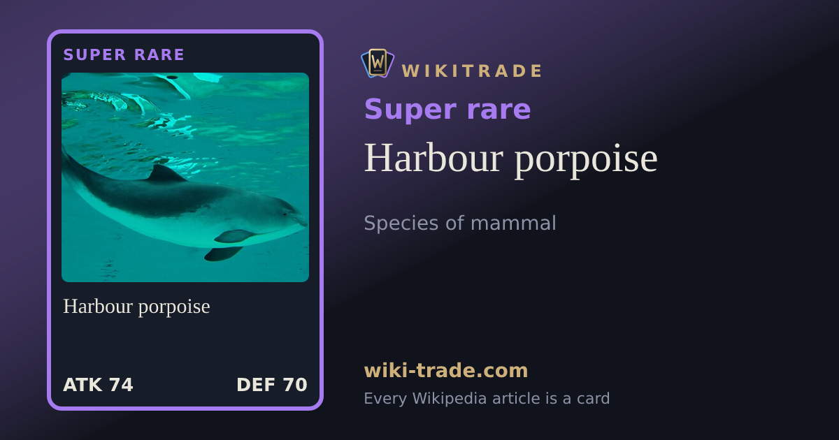 Harbour porpoise — Super rare card