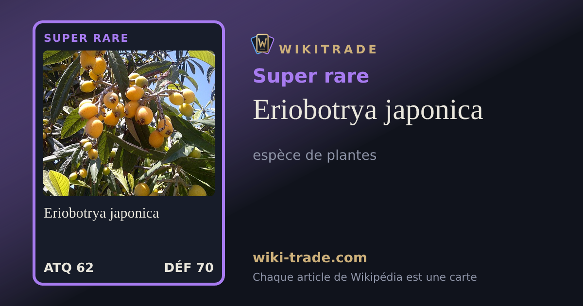 Eriobotrya japonica — carte Super rare
