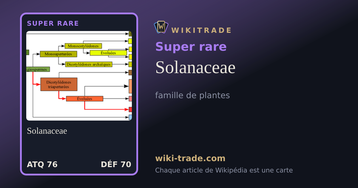 Solanaceae — carte Super rare