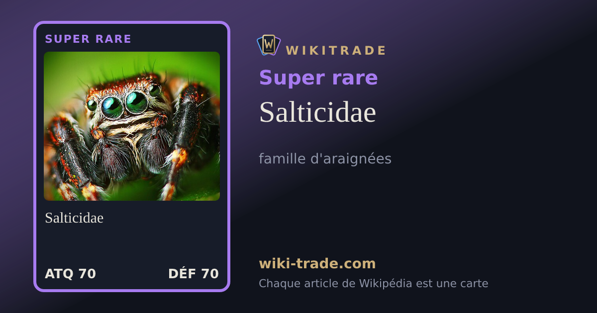 Salticidae — carte Super rare