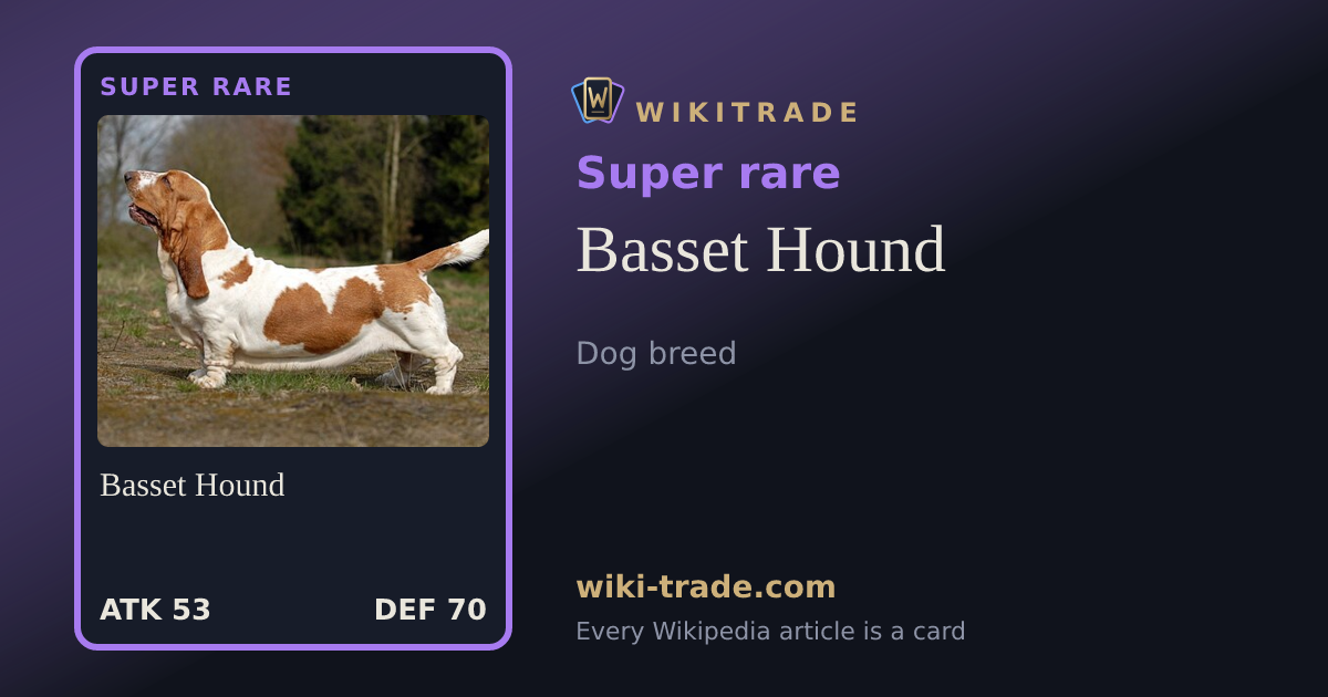 Basset Hound — Super rare card