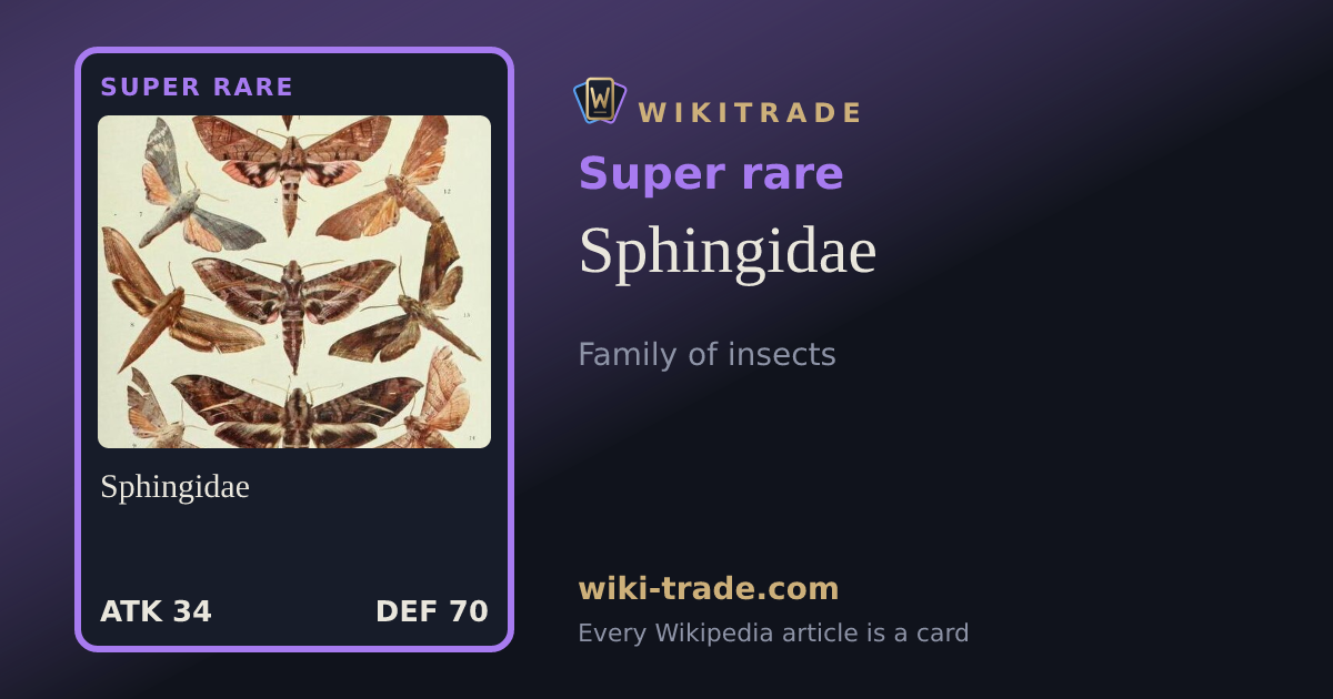 Sphingidae — Super rare card
