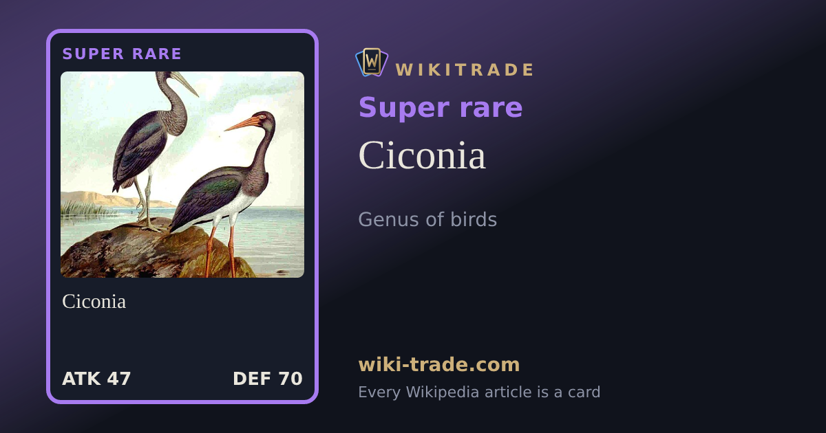 Ciconia — Super rare card