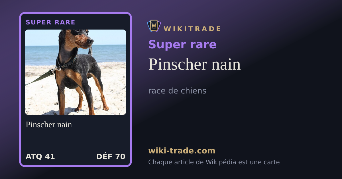 Pinscher nain — carte Super rare