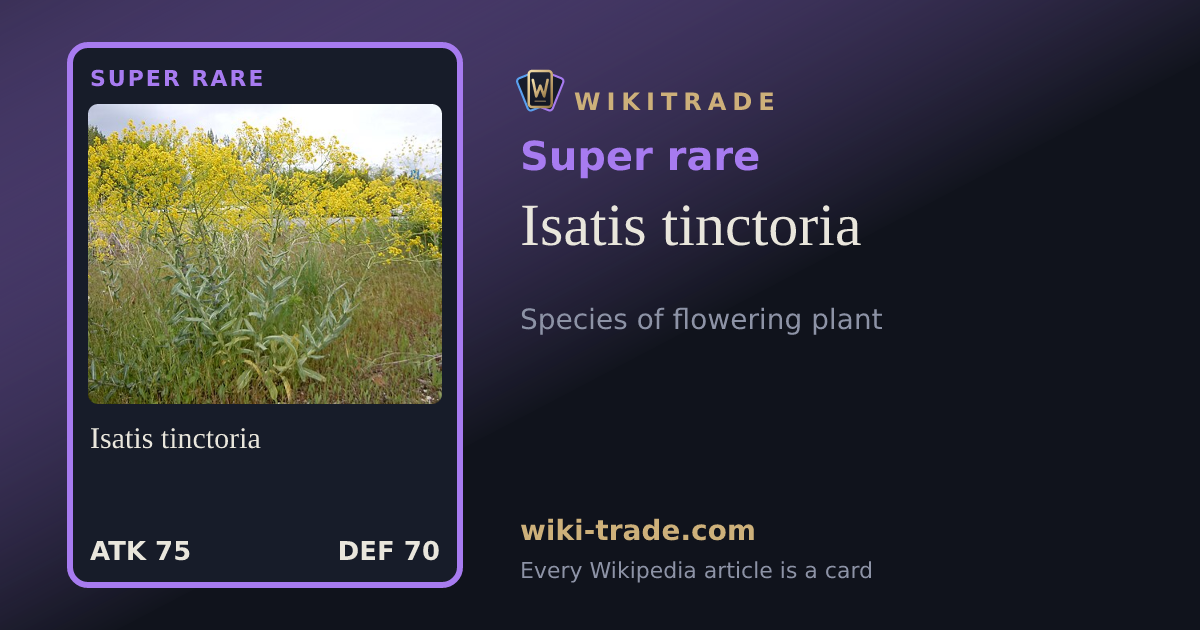Isatis tinctoria — Super rare card