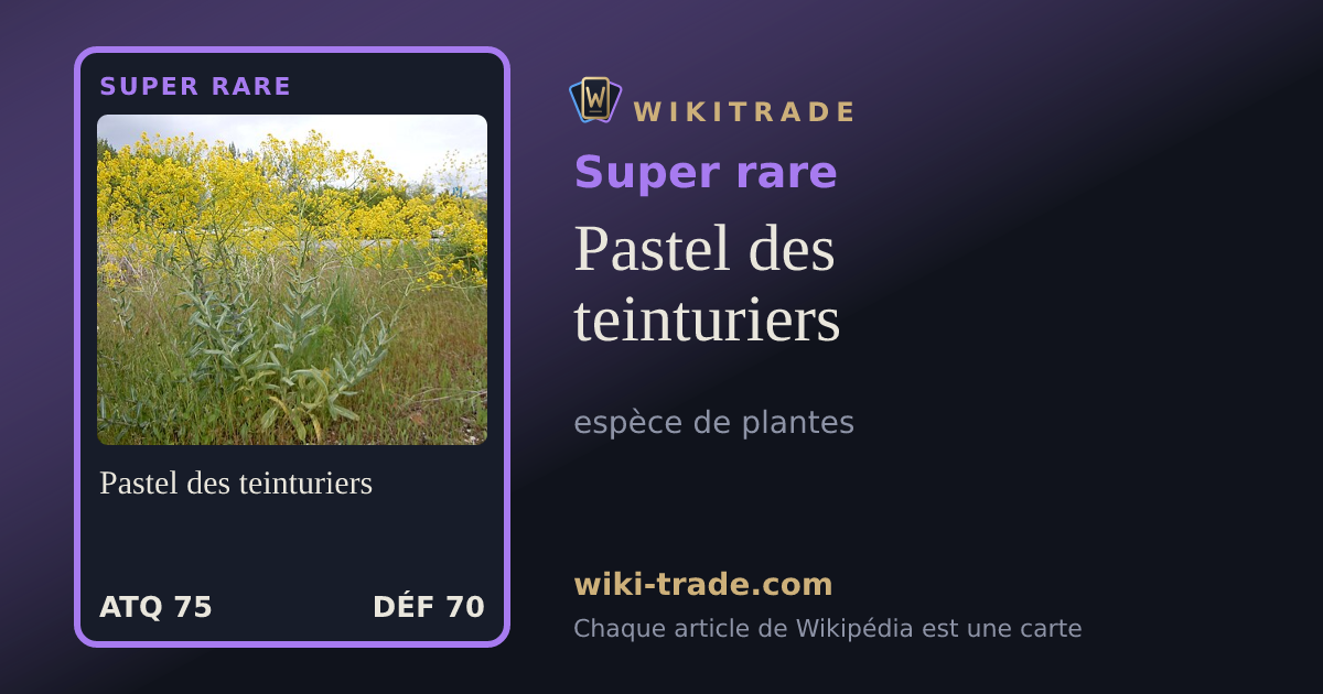 Pastel des teinturiers — carte Super rare