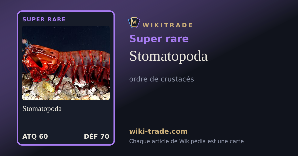 Stomatopoda — carte Super rare