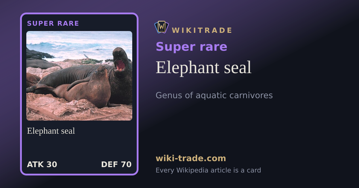 Elephant seal — Super rare card