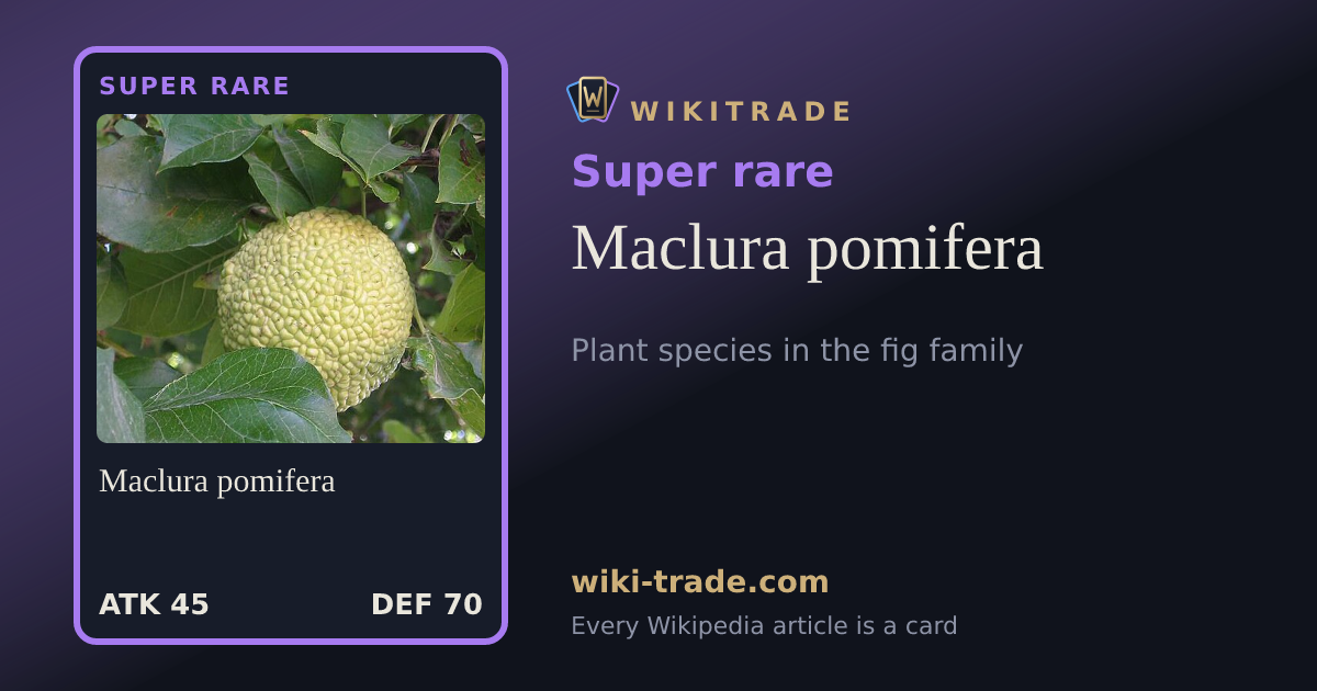Maclura pomifera — Super rare card
