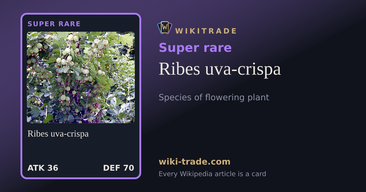 Ribes uva-crispa — Super rare card