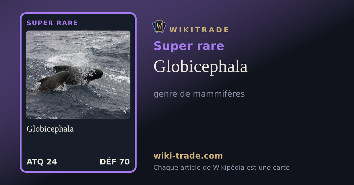 Globicephala — carte Super rare