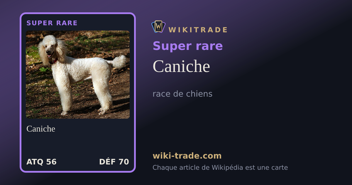 Caniche — carte Super rare