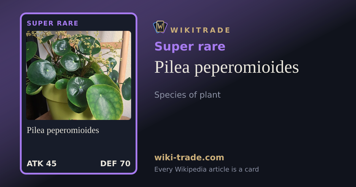Pilea peperomioides — Super rare card