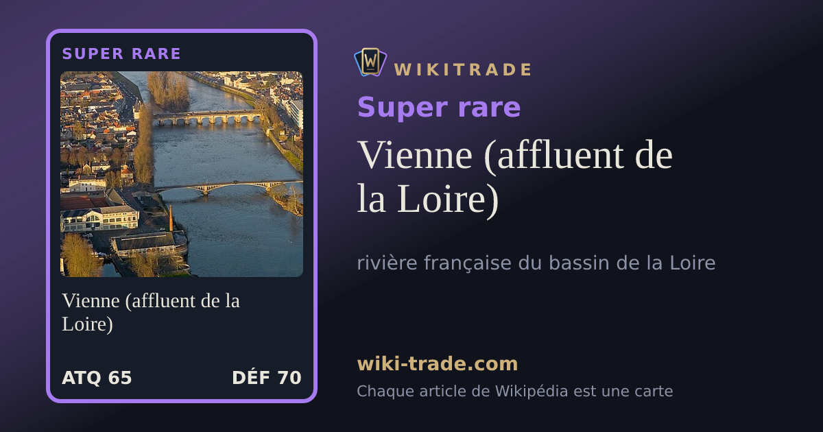 Vienne (affluent de la Loire) — carte Super rare