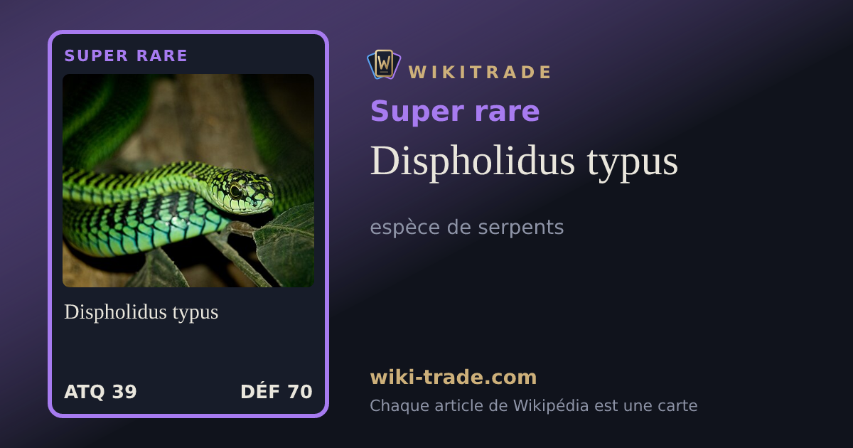 Dispholidus typus — carte Super rare