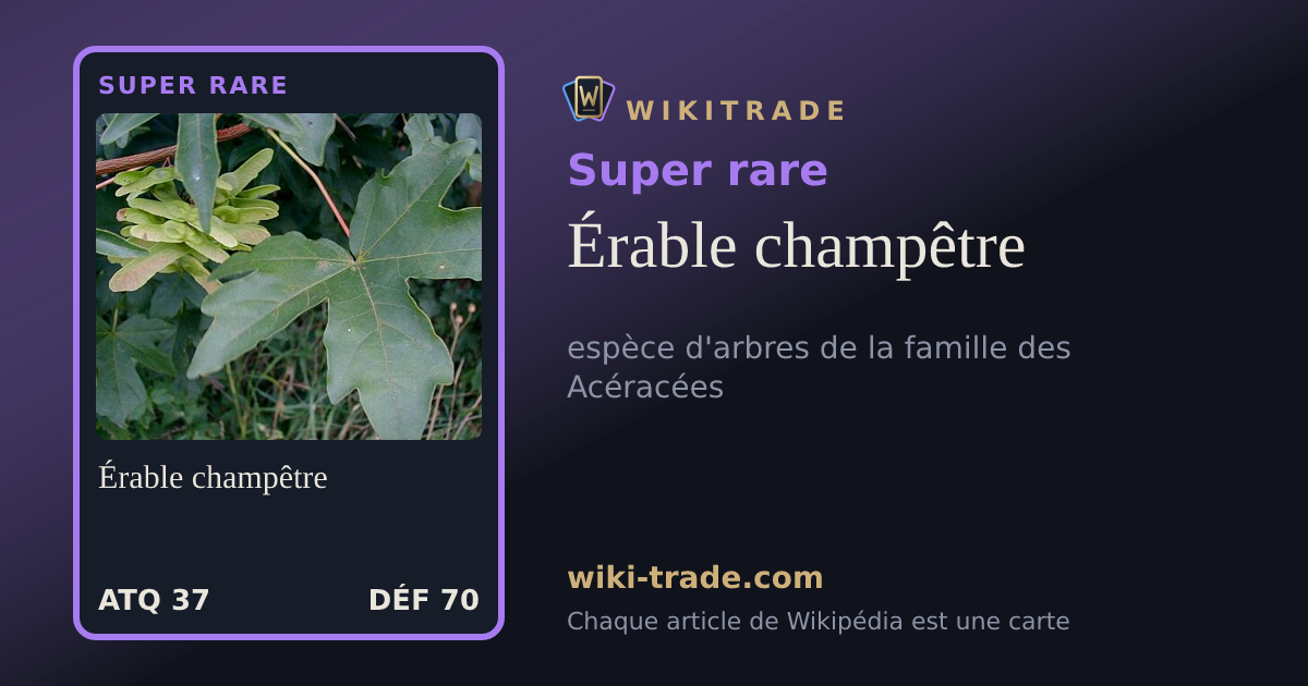 Érable champêtre — carte Super rare