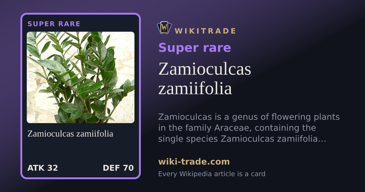 Zamioculcas zamiifolia — Super rare card