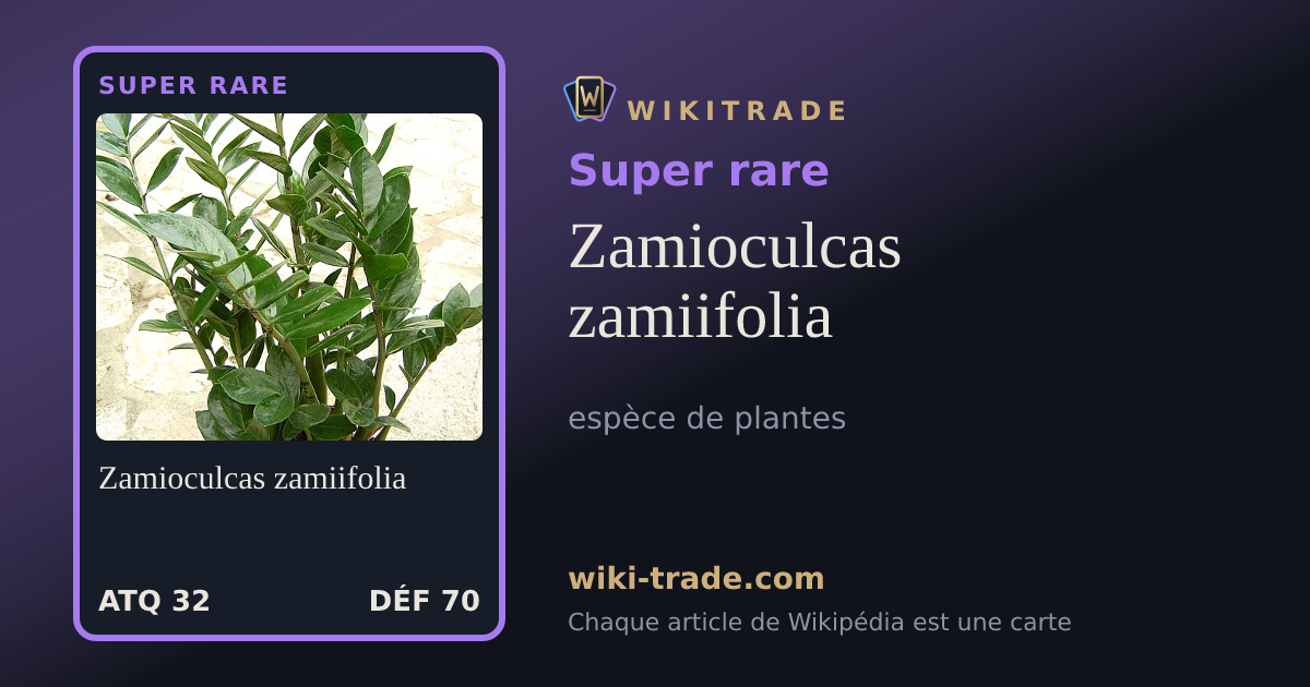 Zamioculcas zamiifolia — carte Super rare