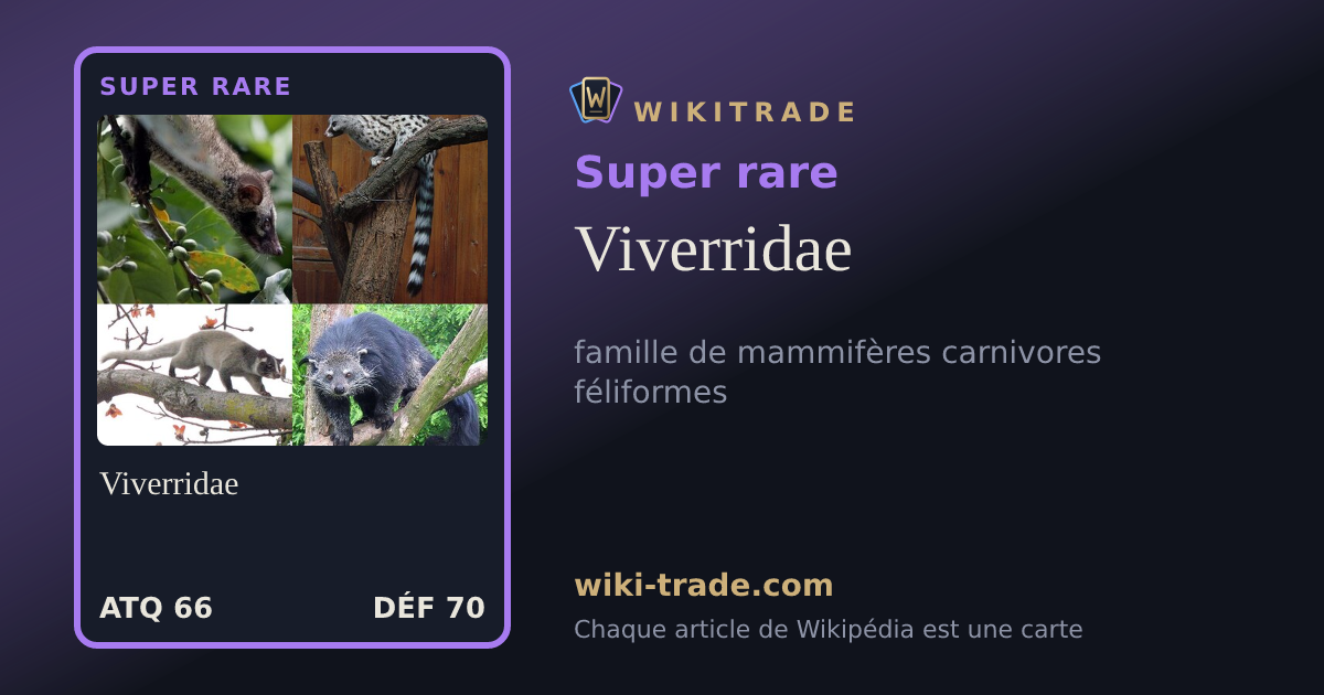 Viverridae — carte Super rare