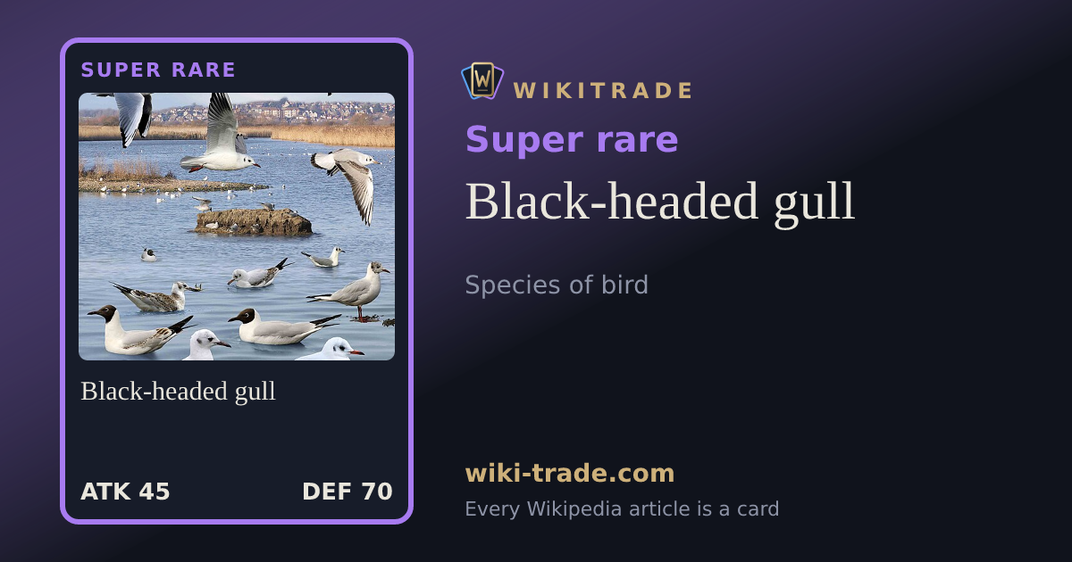 Black-headed gull — Super rare card