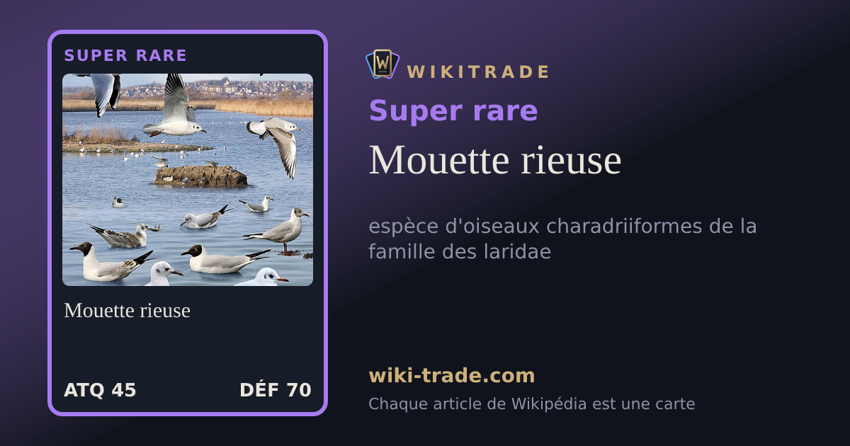 Mouette rieuse — carte Super rare