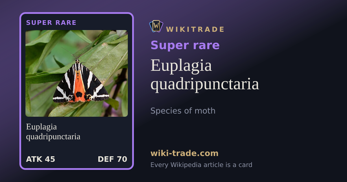 Euplagia quadripunctaria — Super rare card