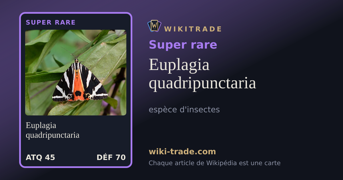 Euplagia quadripunctaria — carte Super rare