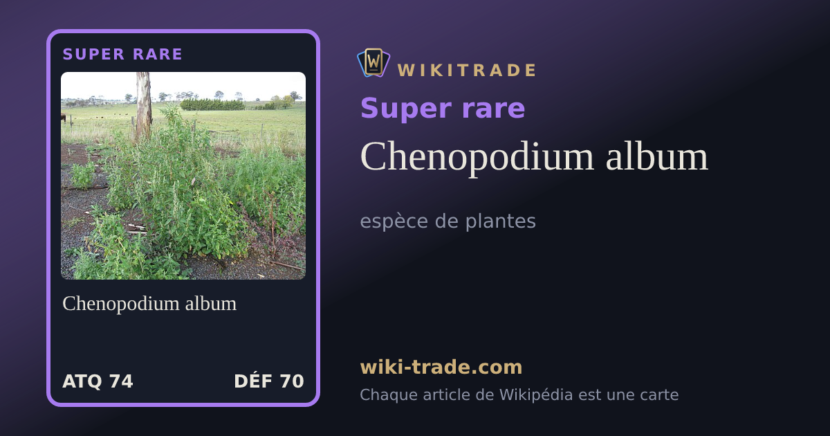 Chenopodium album — carte Super rare