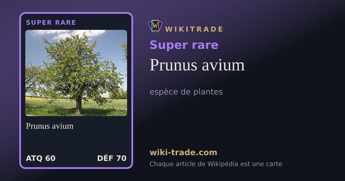 Prunus avium — carte Super rare