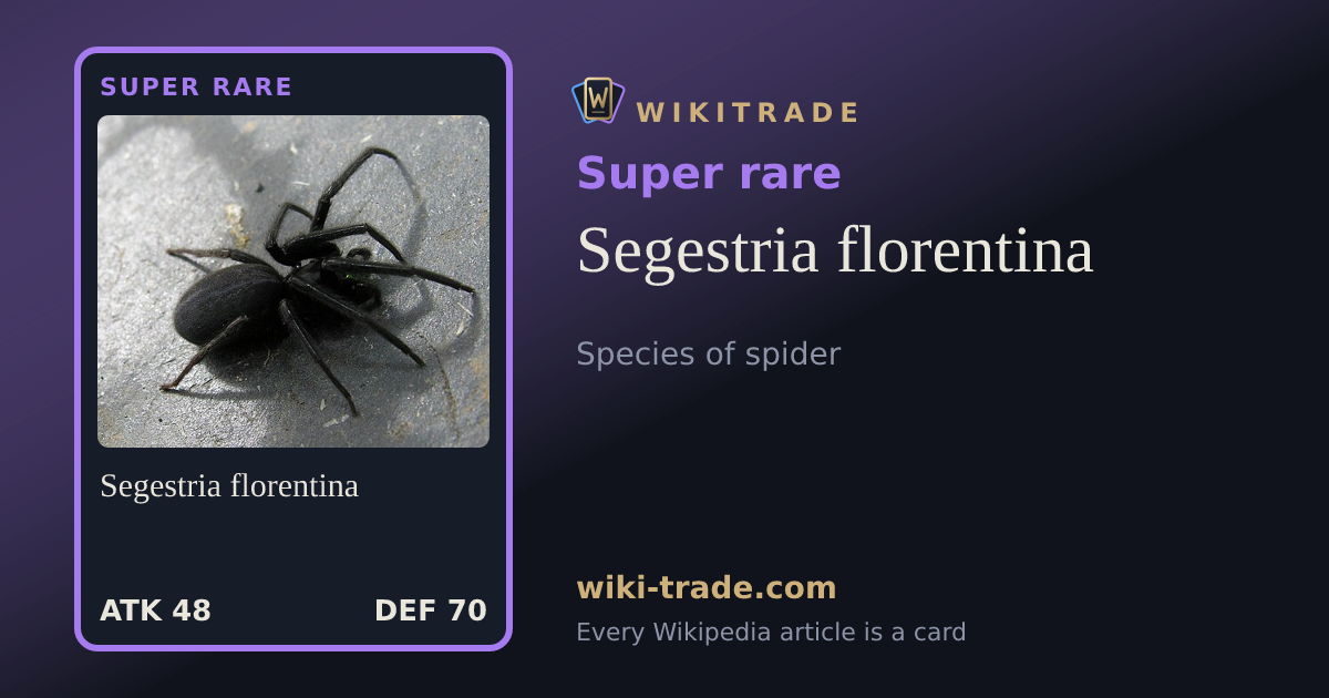 Segestria florentina — Super rare card