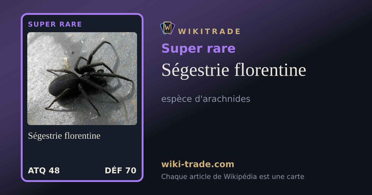 Ségestrie florentine — carte Super rare