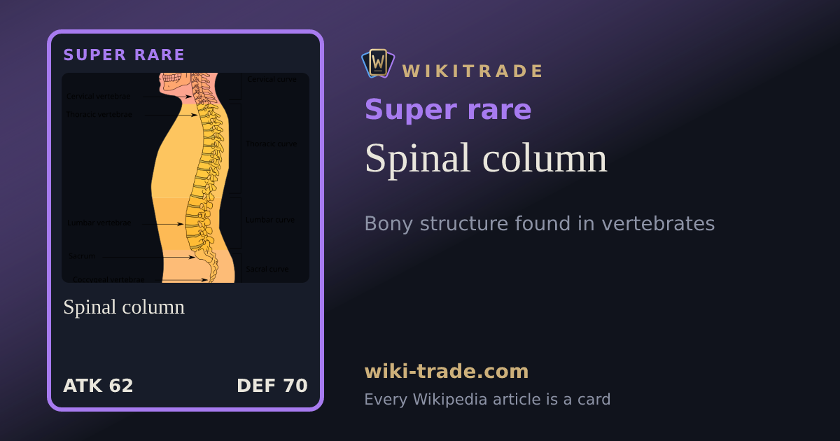 Spinal column — Super rare card