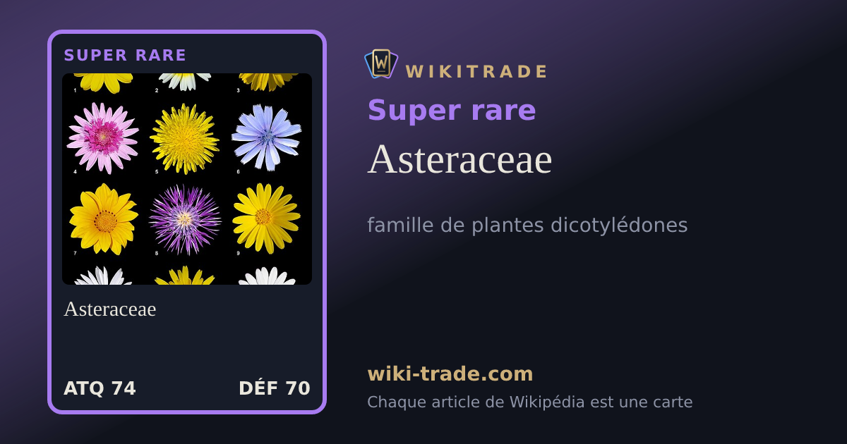 Asteraceae — carte Super rare