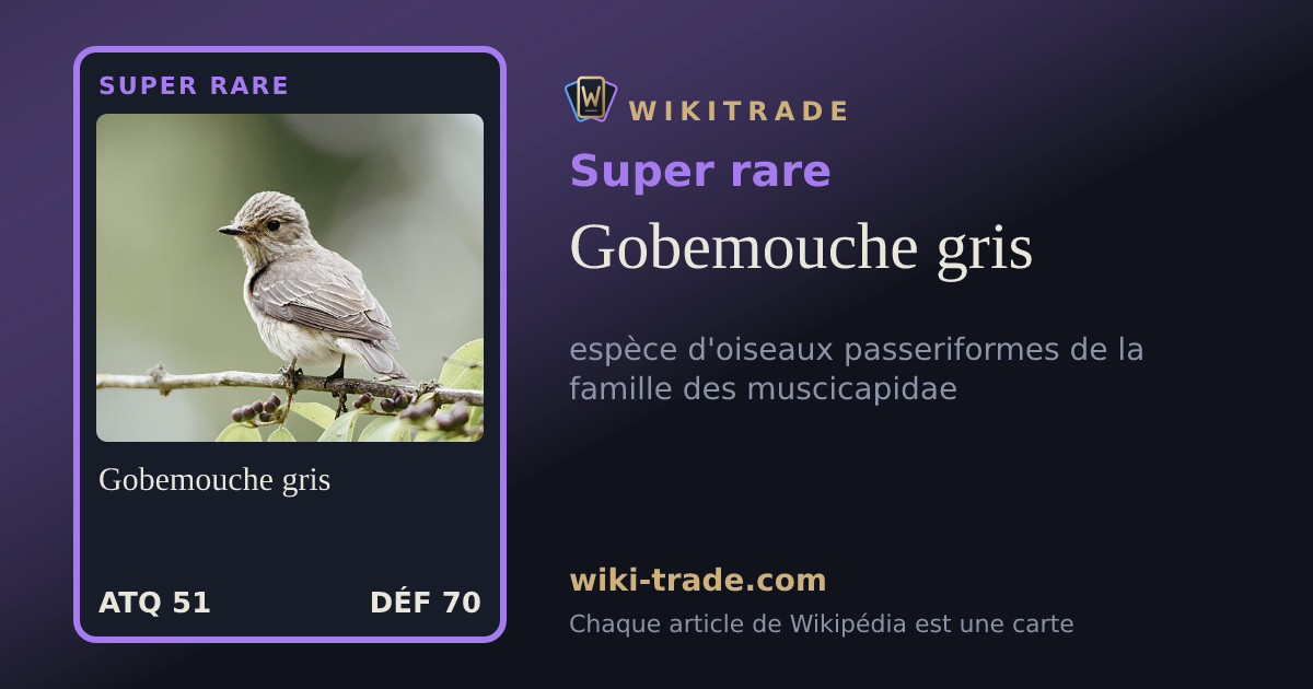 Gobemouche gris — carte Super rare