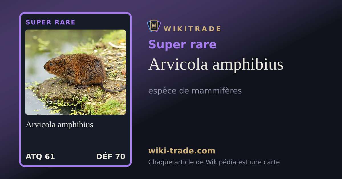 Arvicola amphibius — carte Super rare