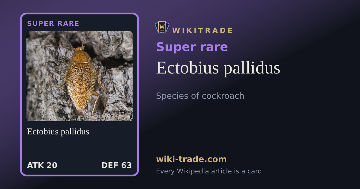 Ectobius pallidus — Super rare card