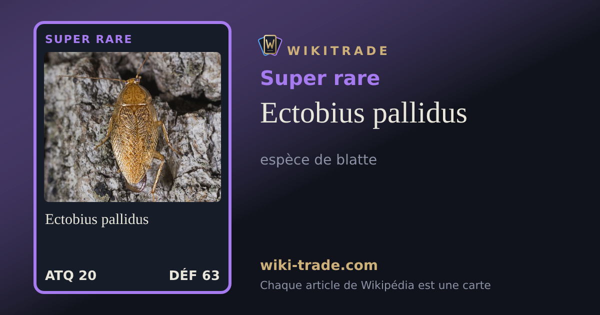 Ectobius pallidus — carte Super rare