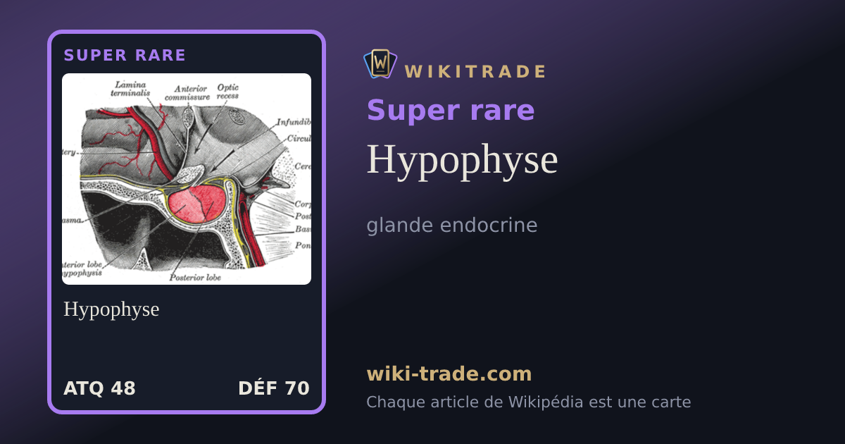 Hypophyse — carte Super rare