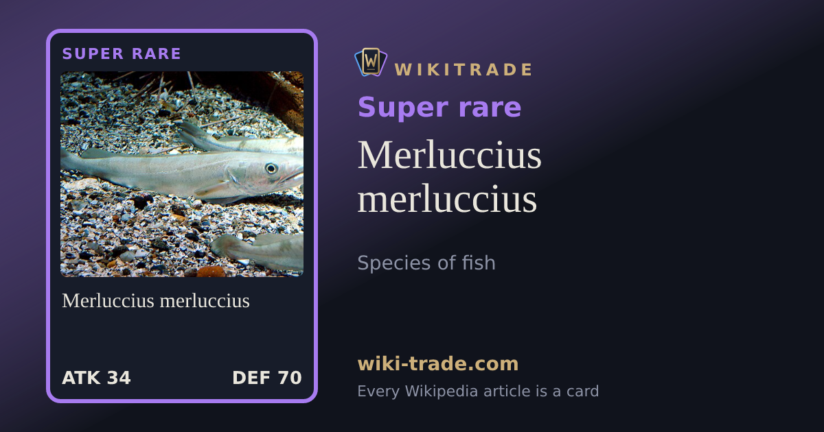Merluccius merluccius — Super rare card
