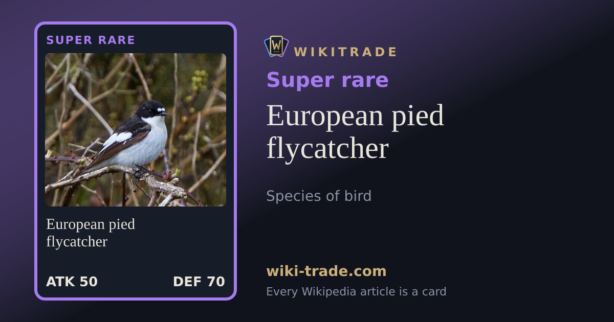 European pied flycatcher — Super rare card