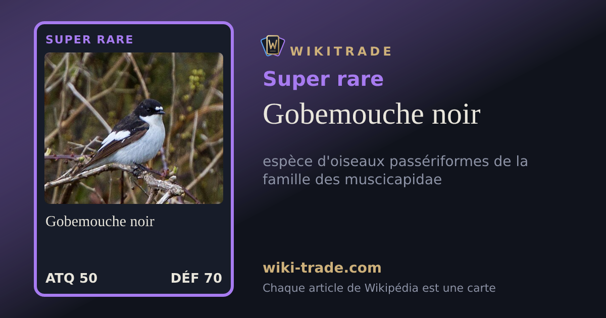 Gobemouche noir — carte Super rare