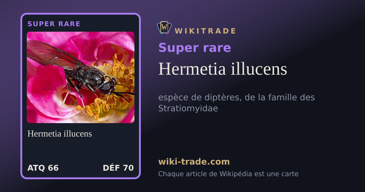 Hermetia illucens — carte Super rare