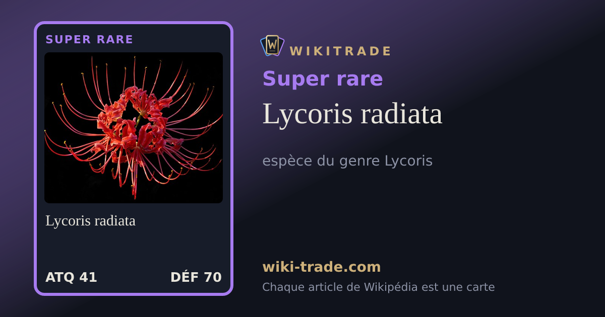 Lycoris radiata — carte Super rare