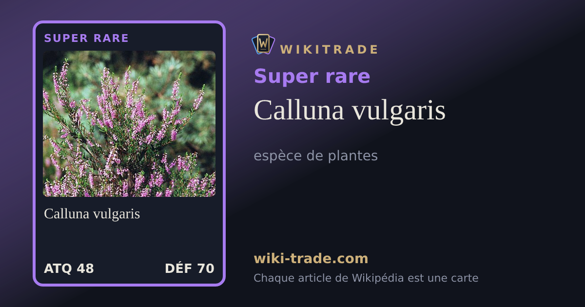Calluna vulgaris — carte Super rare